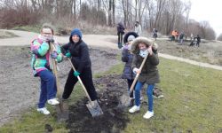 Plantations Cavalier   001